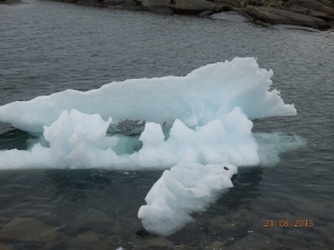 more icebergs