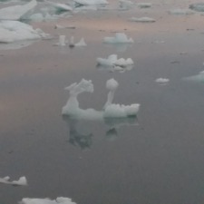 two 'swans' icebergs August 2015